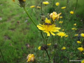 Bosco_di_Casalotto - 18-11-2012 13-03-45.JPG